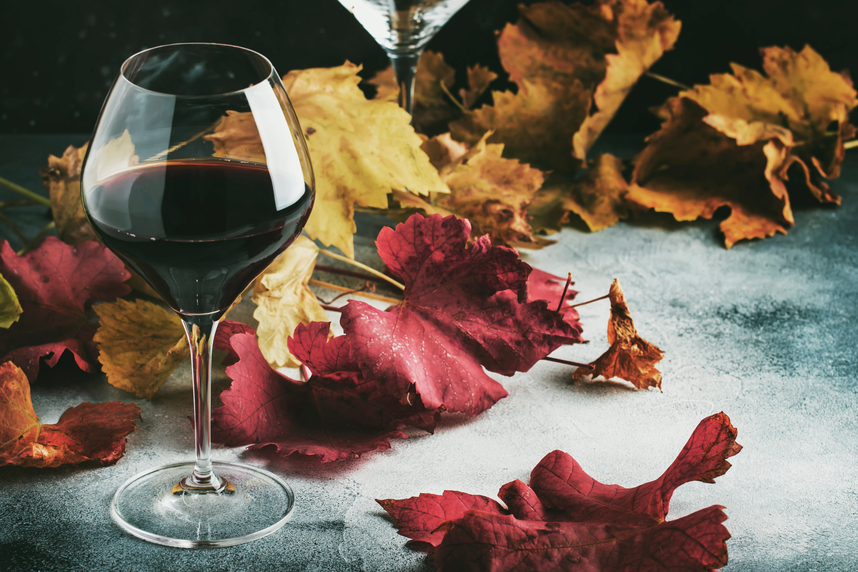 Herfstwijnen: kenmerken en hoe te kiezen Herfstwijnen: kenmerken en hoe te kiezen