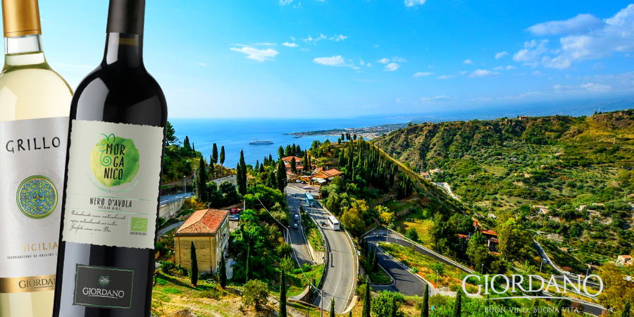 Siciliaanse wijnen, een geweldige traditie om te ontdekken