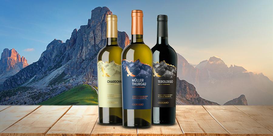 Een reis door de wijnen van Trentino Een reis door de wijnen van Trentino