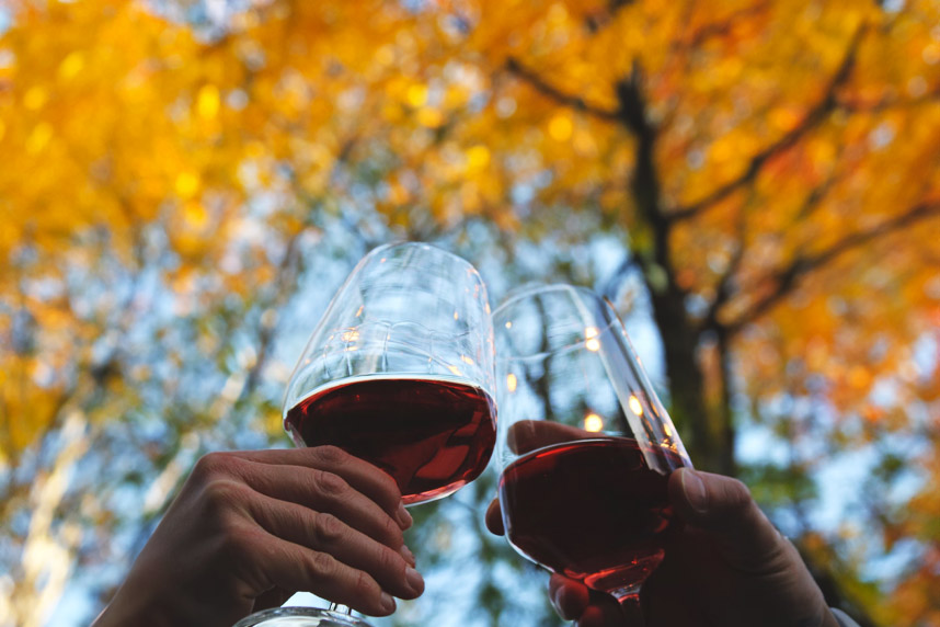 De roden zijn terug: 3 recepten die naar de herfst ruiken De roden zijn terug: 3 recepten die naar de herfst ruiken